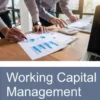 Working Capital Management